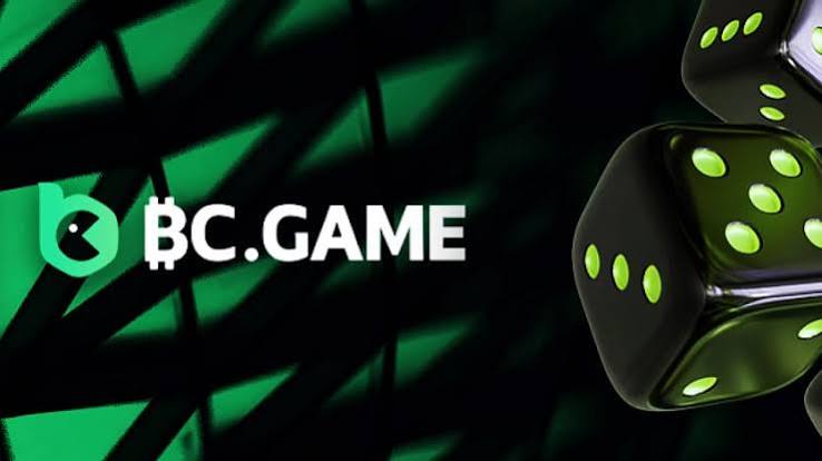 Understanding the BC.Game Login Process A Step-by-Step Guide -329279088